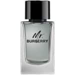 Burberry Mr Burberry Edt 100ml