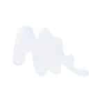 Wet n Wild Wild Shine Nail Color Clear Nail Protector