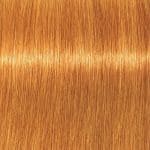 Schwarzkopf Professional Igora Vibrance Kit 9-7 Extra Light Blonde Copper