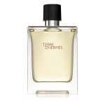 Hermes Terre d'Hermes Edt 100ml