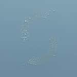 System Professional Hydrate Quenching Mist 125ml