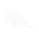 Wet n Wild Wild Shine Nail Color French White Créme