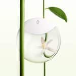 Issey Miyake A Drop d'Issey Edp 50ml