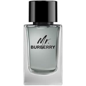 Burberry Mr Burberry Edt 100ml
