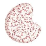 Sally Hansen Miracle Gel #909 All is Bright