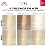 Wella Color Touch Rich Naturals 10/81 Platinum Blonde