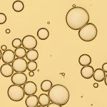 Living Proof No Frizz Vanishing Oil 50ml Living Proof No Frizz Vanishing Oil 50ml