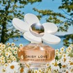 Marc Jacobs Daisy Love Edt 50ml