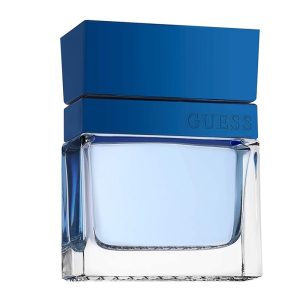 Guess Seductive Homme Blue edt 100ml