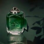 Coach Green Edt 60ml