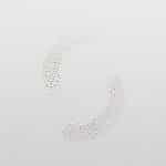 System Professional Elastic Force 125ml