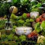 Voluspa 3-Wick Candle Decorative Tin Panjore Lychee 340g