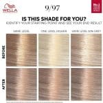 Wella Color Touch Rich Naturals 9/97 Cool Beige Blonde