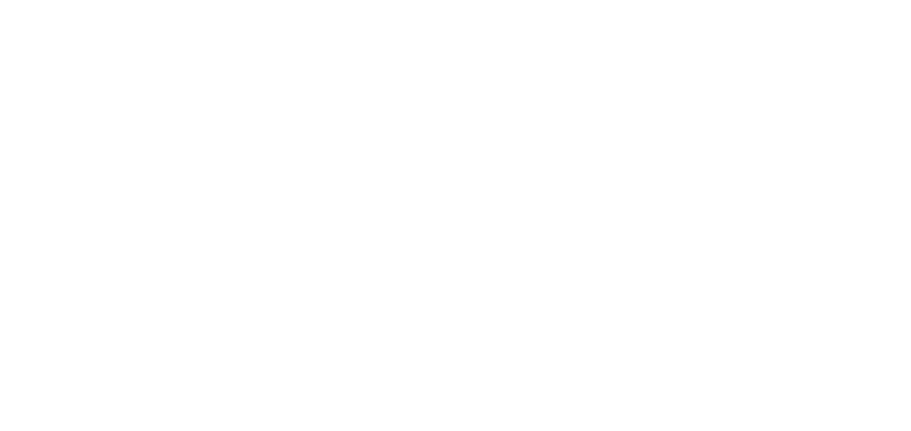 StylingAgenten-est-logo